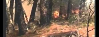 Acreditar – Tokikantalgarve