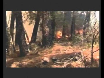 Acreditar – Tokikantalgarve