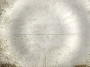 Saudade – Tekst en muziek – Tuka / Arranjos – Tuniko Goulart / JIJ EN IK – Leo Tomich