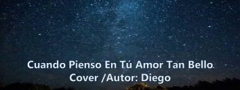 MÚSICA INSTRUMENTAL (COVER)