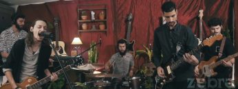 Zebra Sépia – Wander Arround (Live Session)