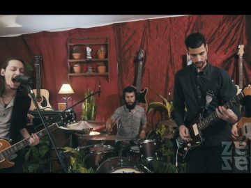 Zebra Sépia – Wander Arround (Live-Sitzung)