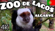 ZOO von Lagos Algarve Portugal