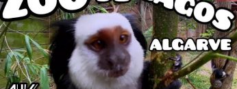 ZOO de Lagos   Algarve Portugal