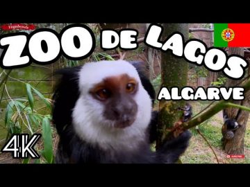 ZOO de Lagos   Algarve Portugal