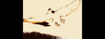 “Tinha a tua mão” – Nanook o vagabundo