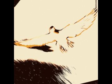 “ik had je hand” – Nanook de zwerver