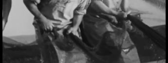 Na pesca da Sardinha em Portimão 1962