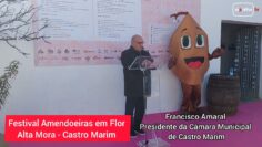 3:23 / 10:30   II Amendoeiras Festival in Flor in Alta Mora (Castro Marim)